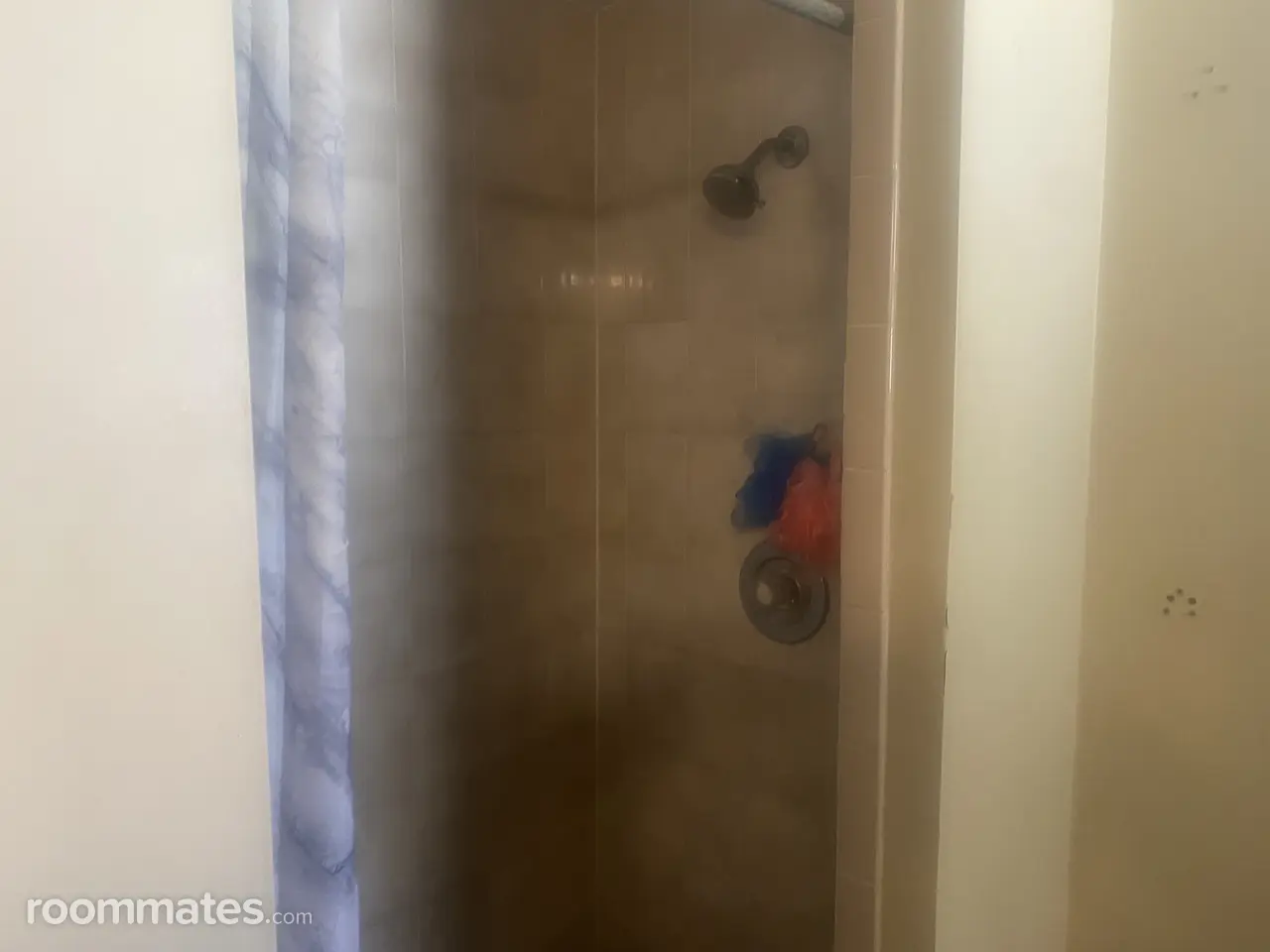 Profile photo 3 of 11