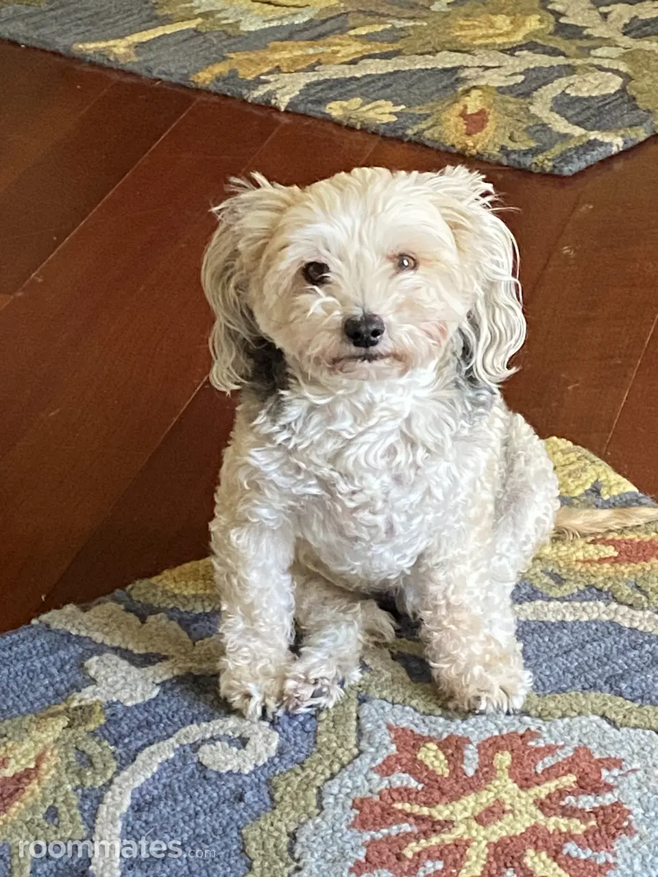 Profile photo 3 of 7