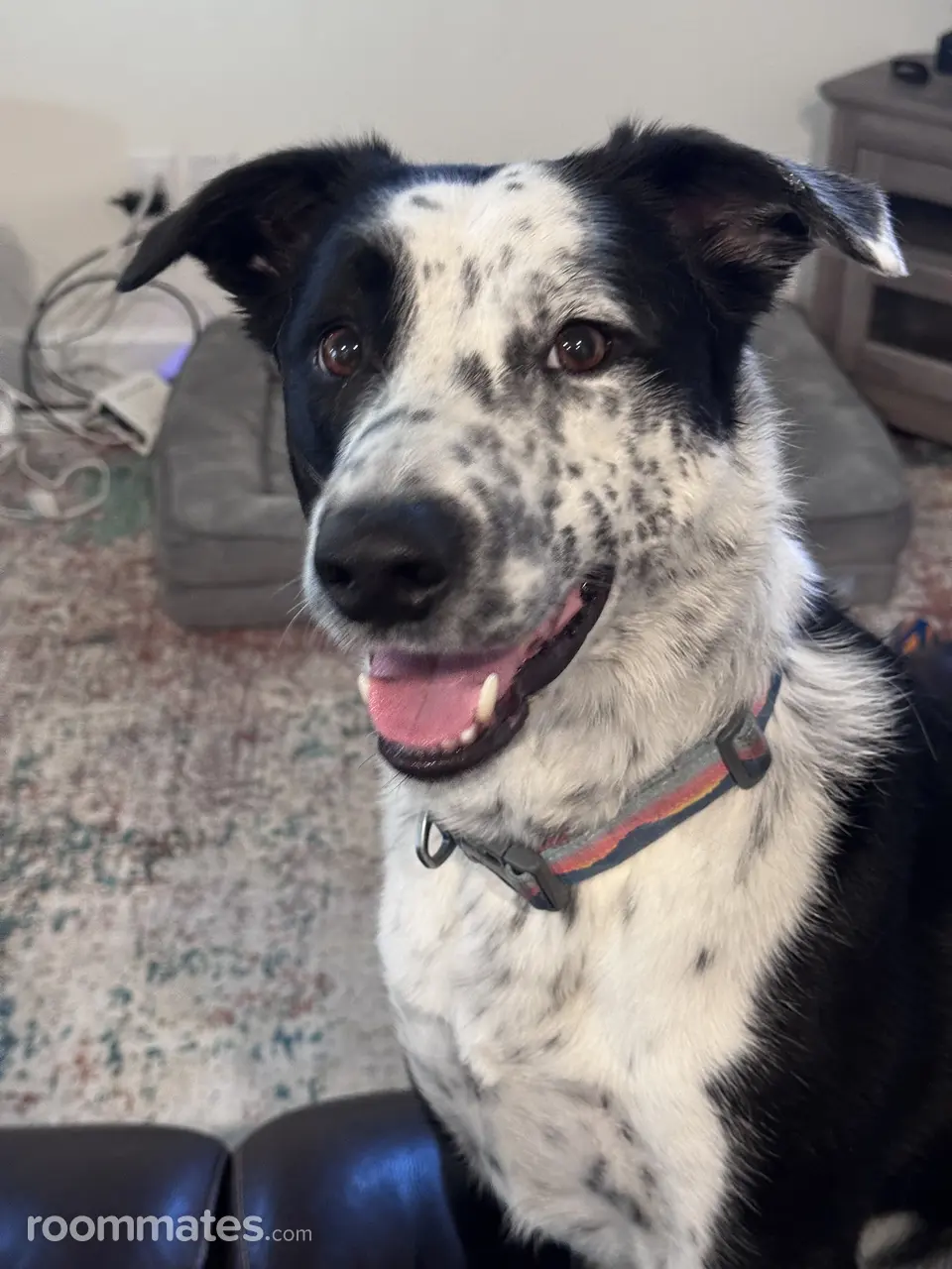 Profile photo 3 of 3