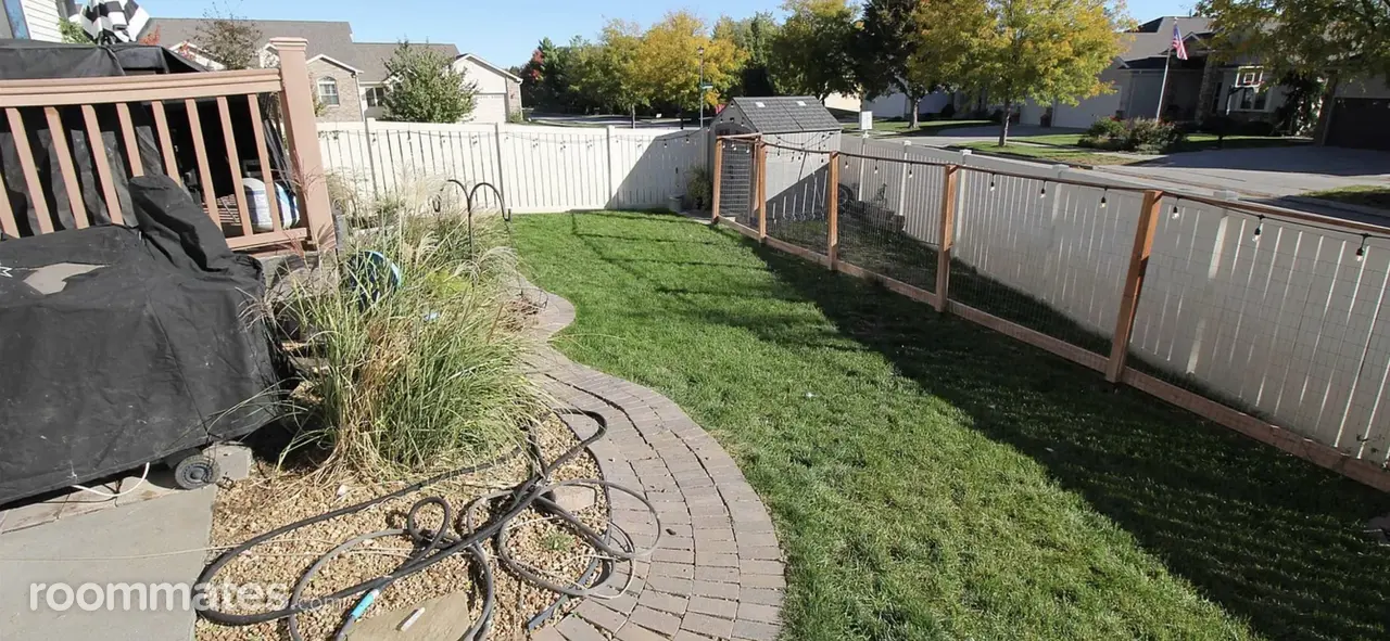 Profile photo 17 of 18