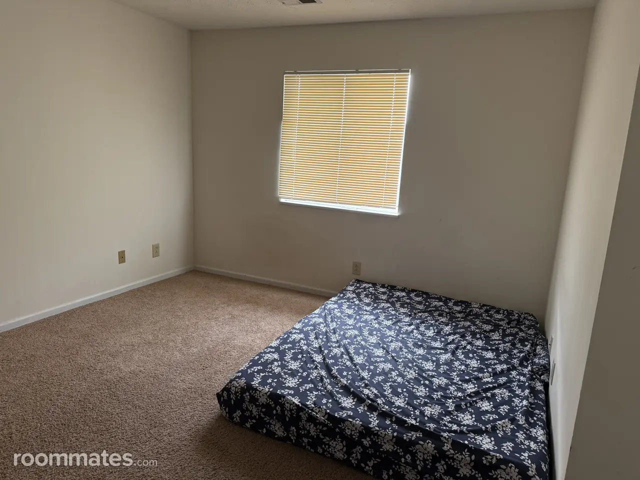 Profile photo 6 of 8