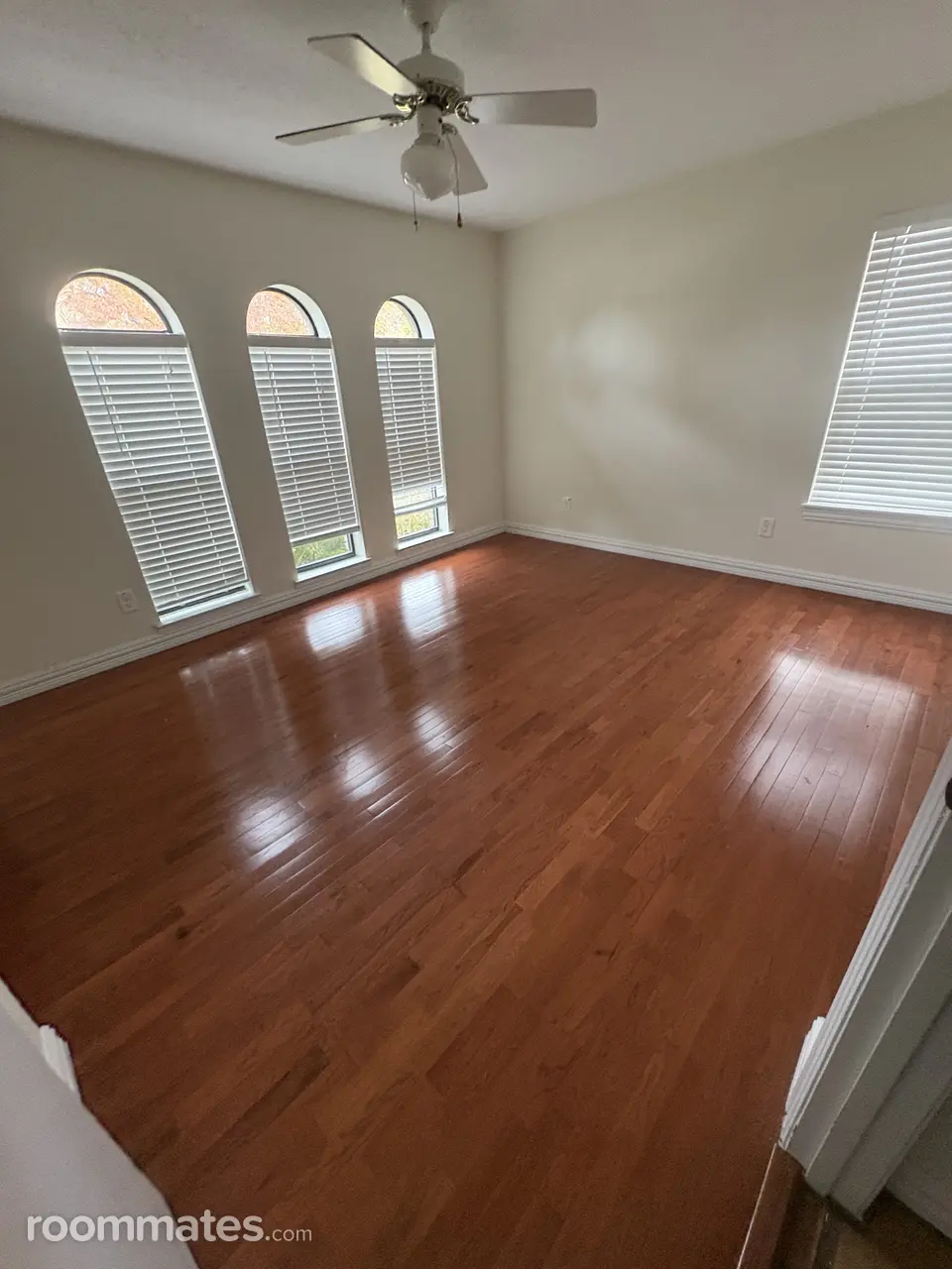 Profile photo 2 of 8