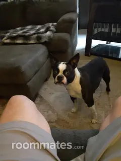 Room for rent in Kansas City, MO $800, house