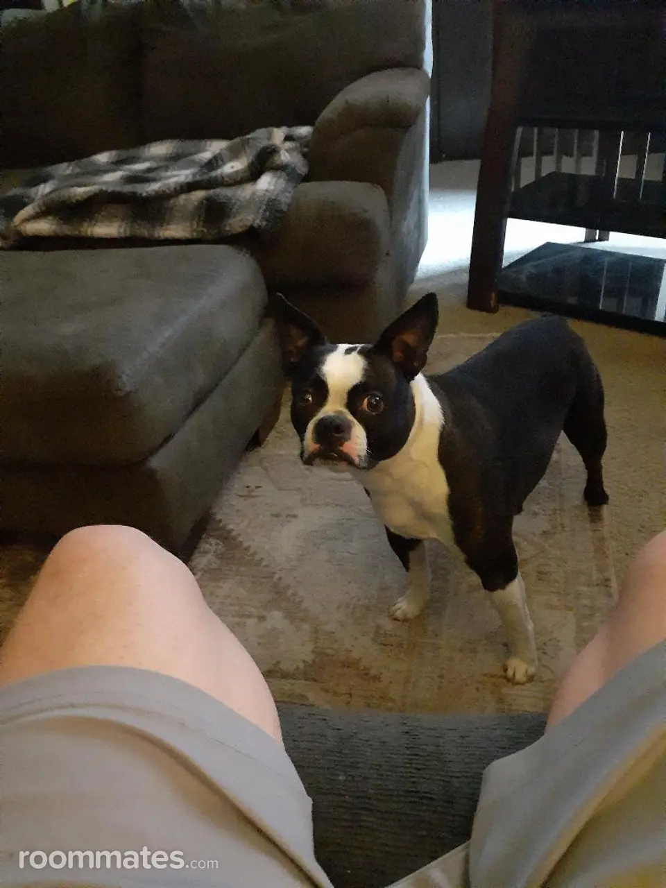 Profile photo 6 of 11