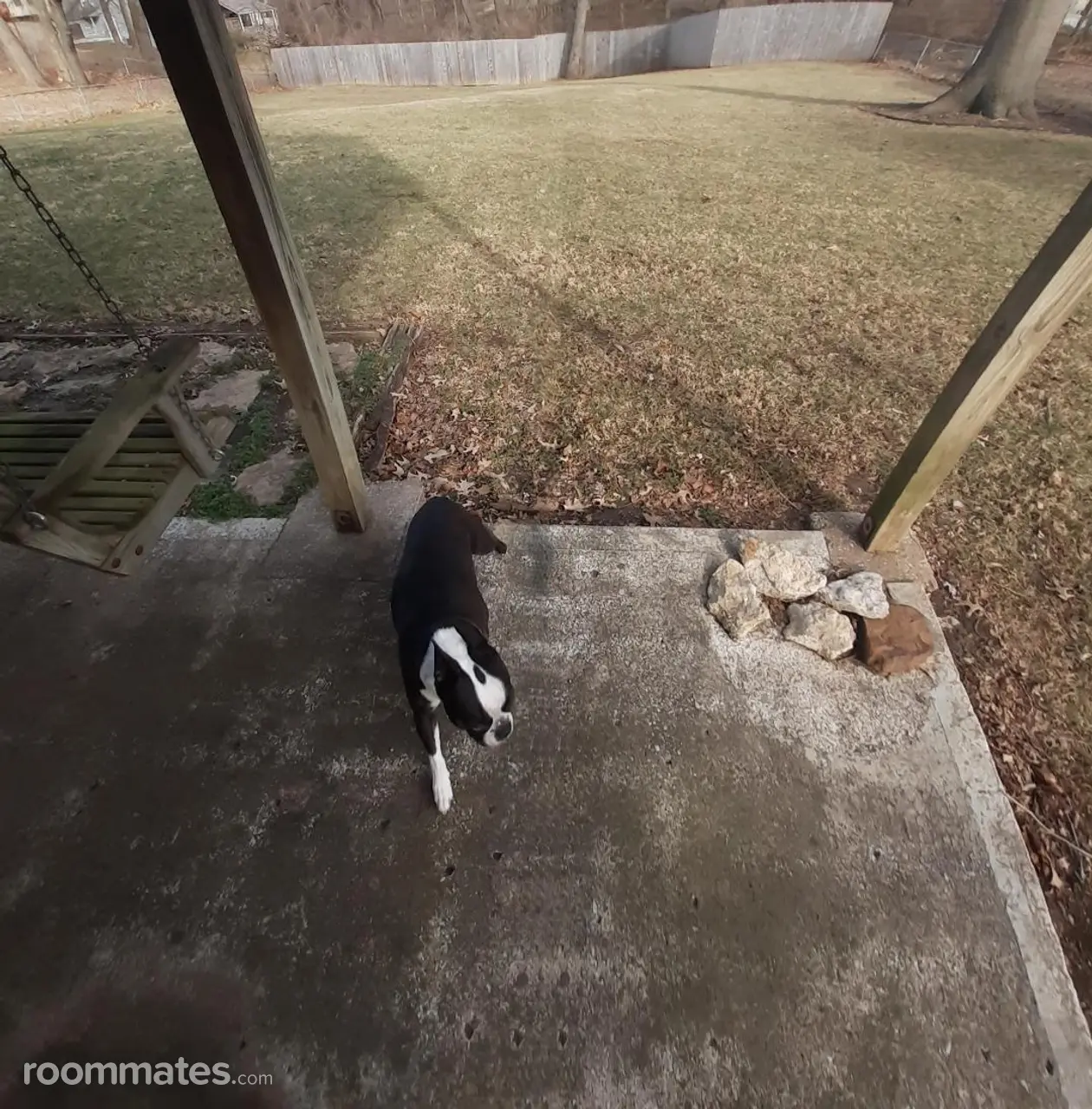 Profile photo 10 of 11