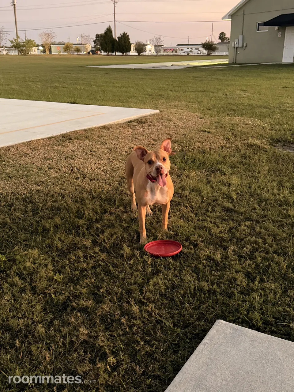 Profile photo 3 of 5