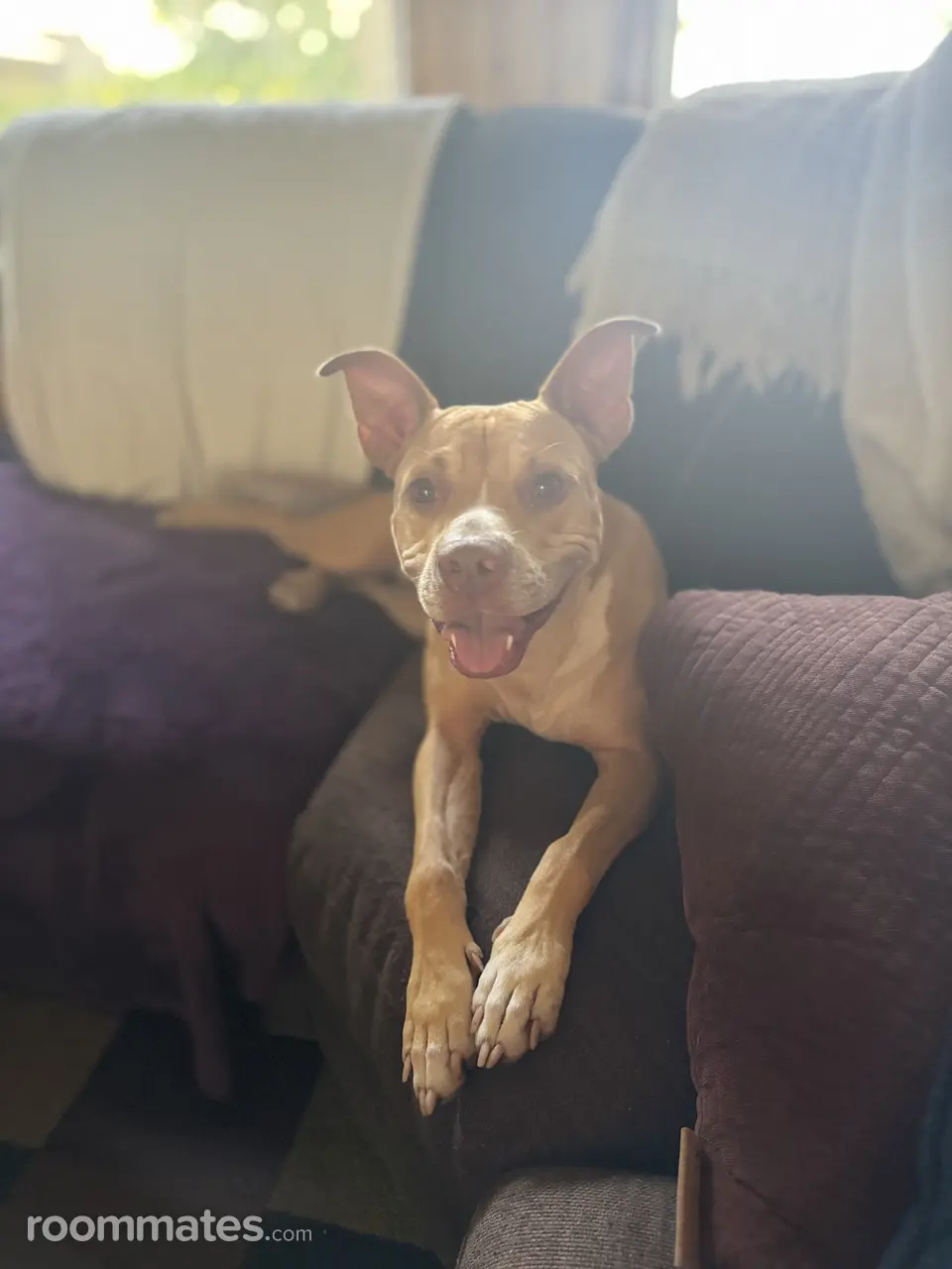 Profile photo 5 of 5