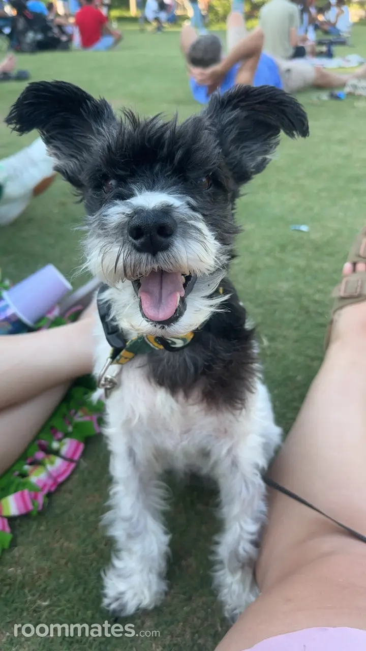 Profile photo 13 of 15