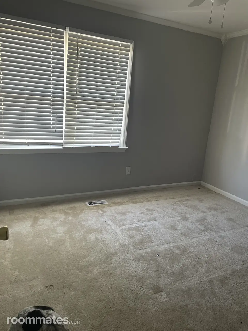 Profile photo 1 of 15