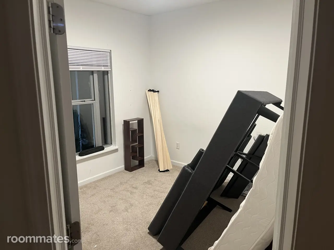 Profile photo 2 of 7