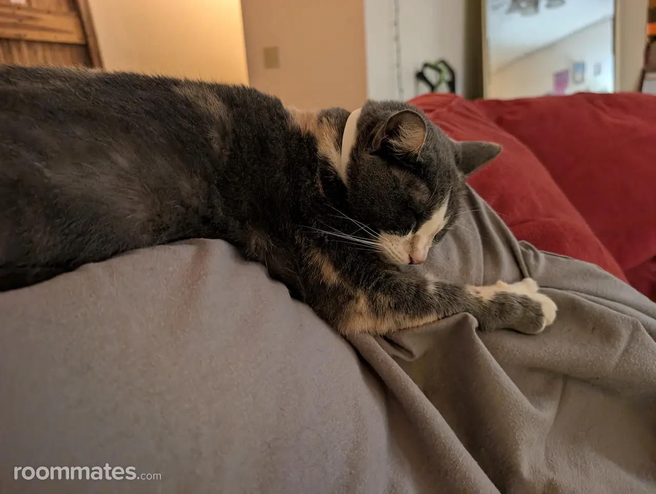 Profile photo 3 of 3