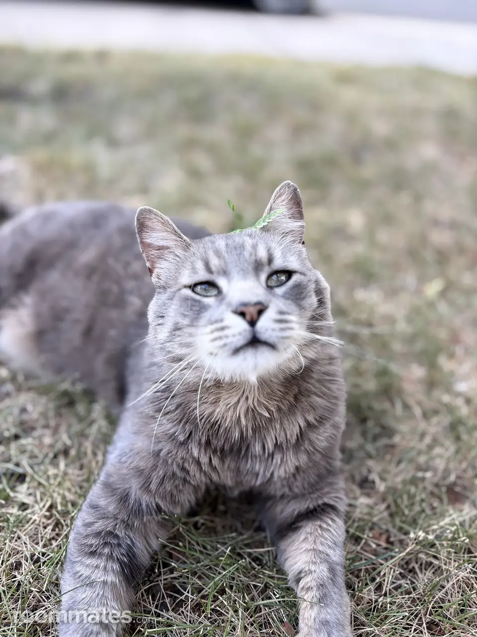 Profile photo 6 of 8