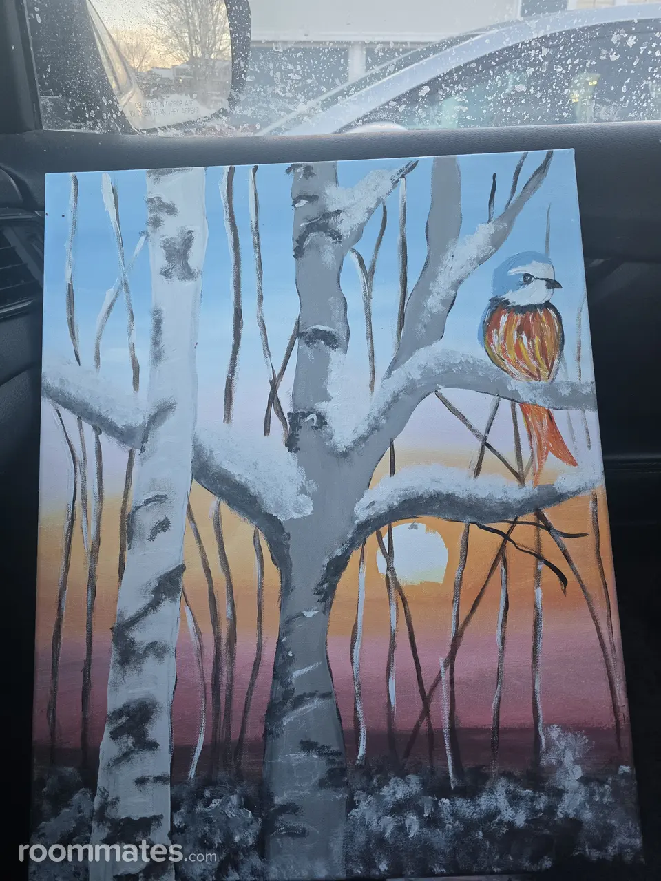 Profile photo 12 of 15