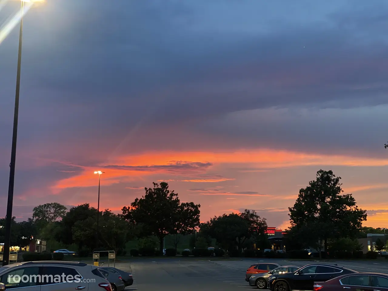 Profile photo 1 of 1