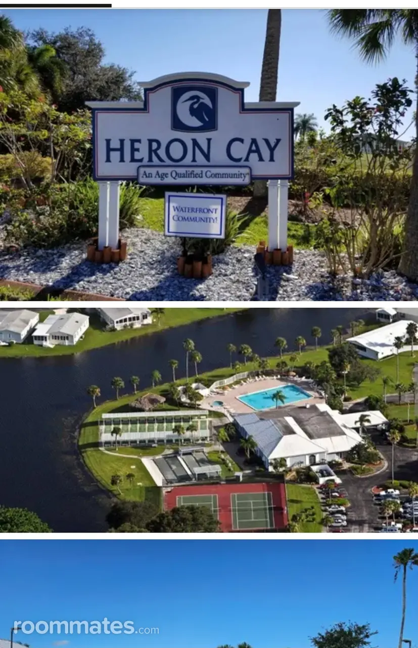 Profile photo 10 of 11