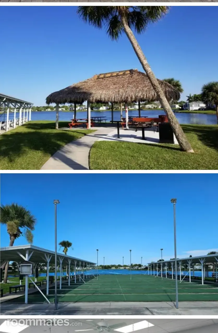 Profile photo 8 of 11