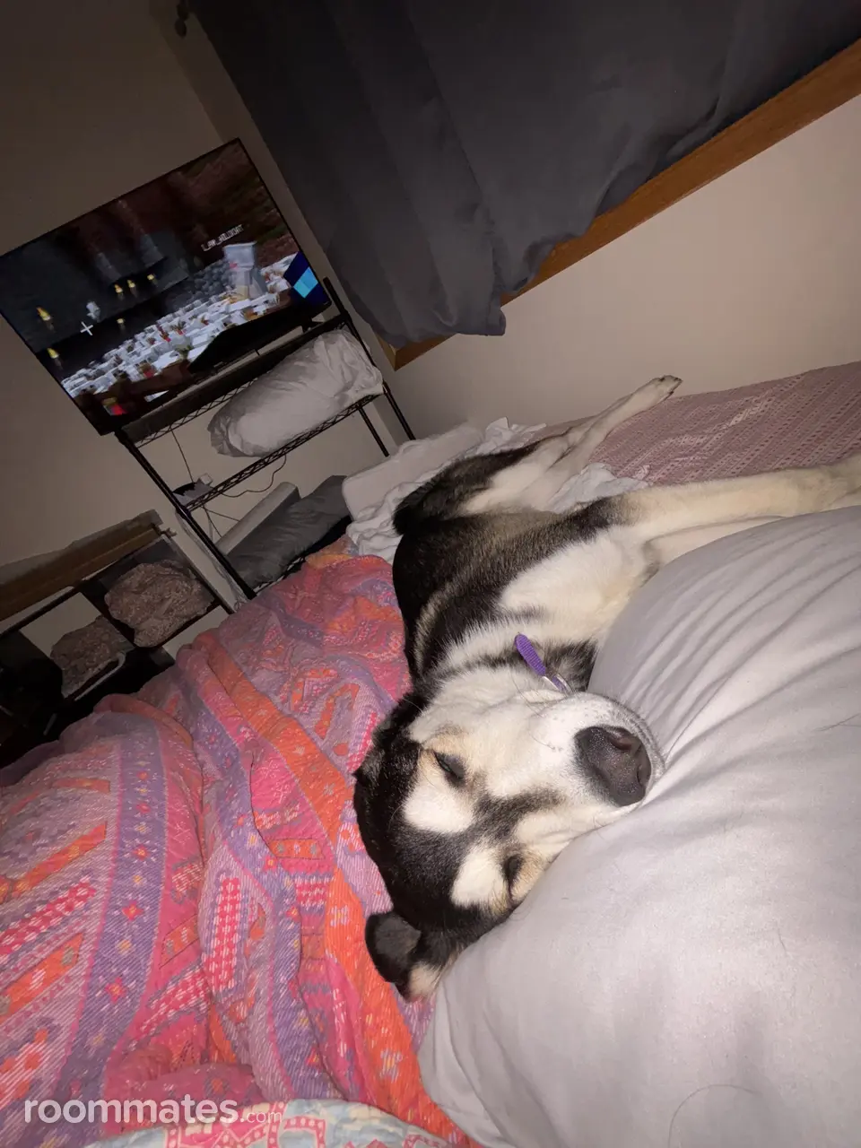 Profile photo 14 of 16