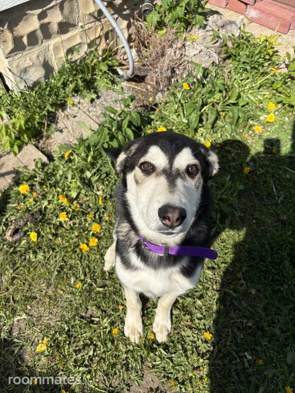 Profile photo 15 of 16