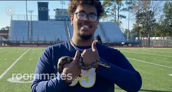 Roommate looking Spring, TX, $200