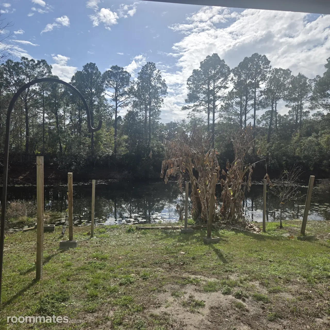 Profile photo 9 of 10