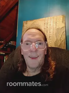 Roommate looking Waynesville, NC, $500