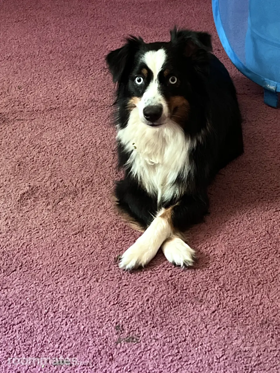 Profile photo 5 of 10