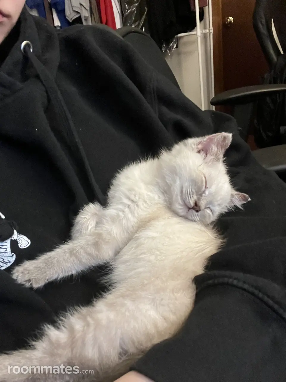 Profile photo 7 of 10