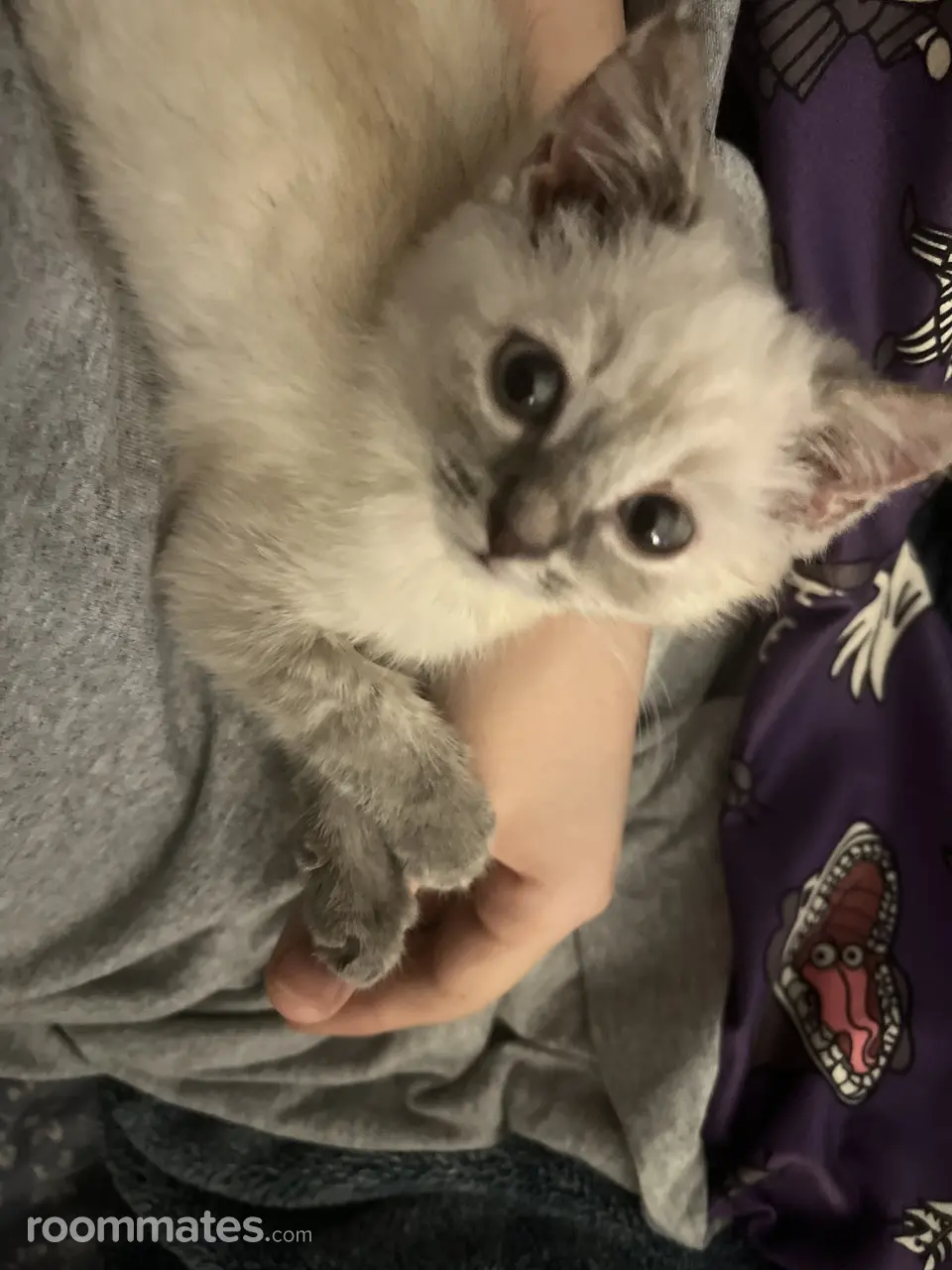 Profile photo 4 of 10