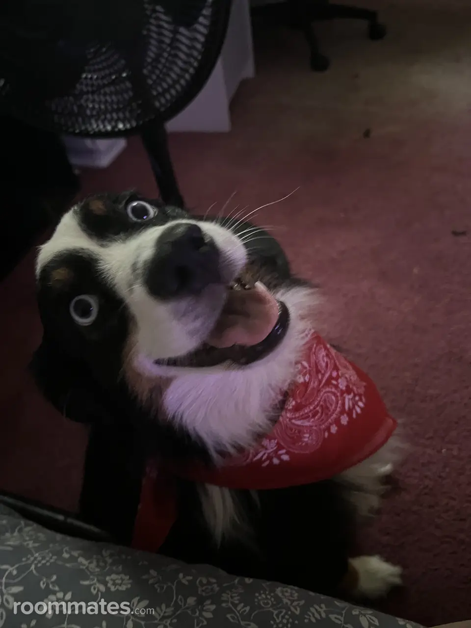 Profile photo 9 of 10