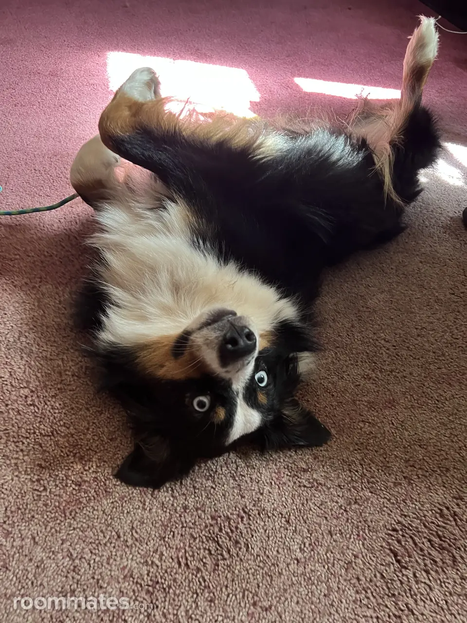 Profile photo 10 of 10