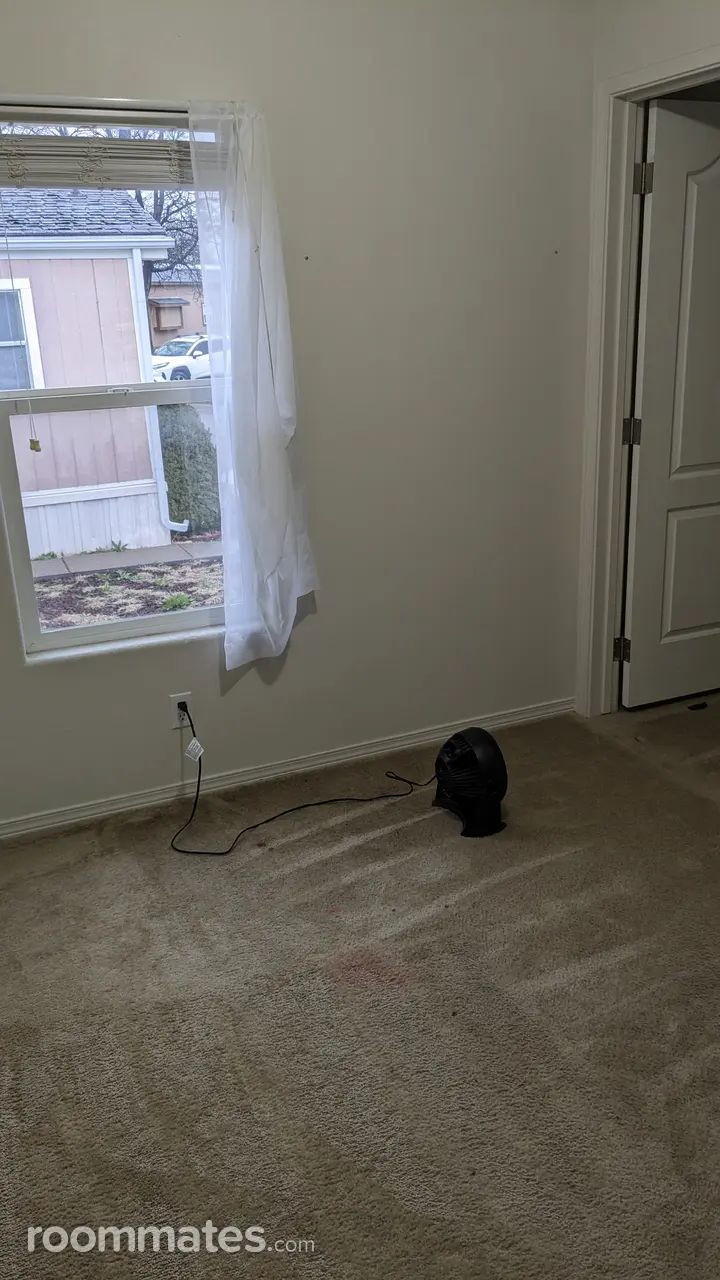 Profile photo 4 of 11