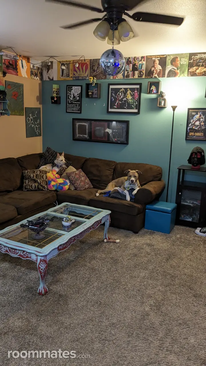 Profile photo 9 of 11