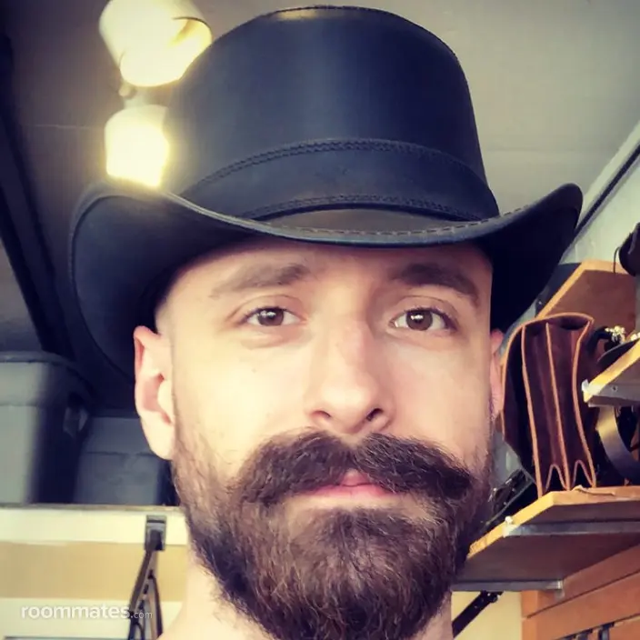 Roommate looking Gilbert, AZ, $800