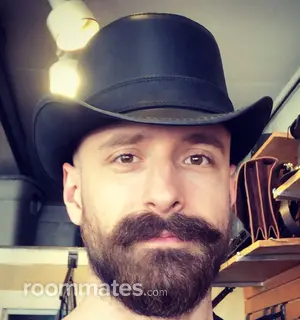 Roommate looking Gilbert, AZ, $800