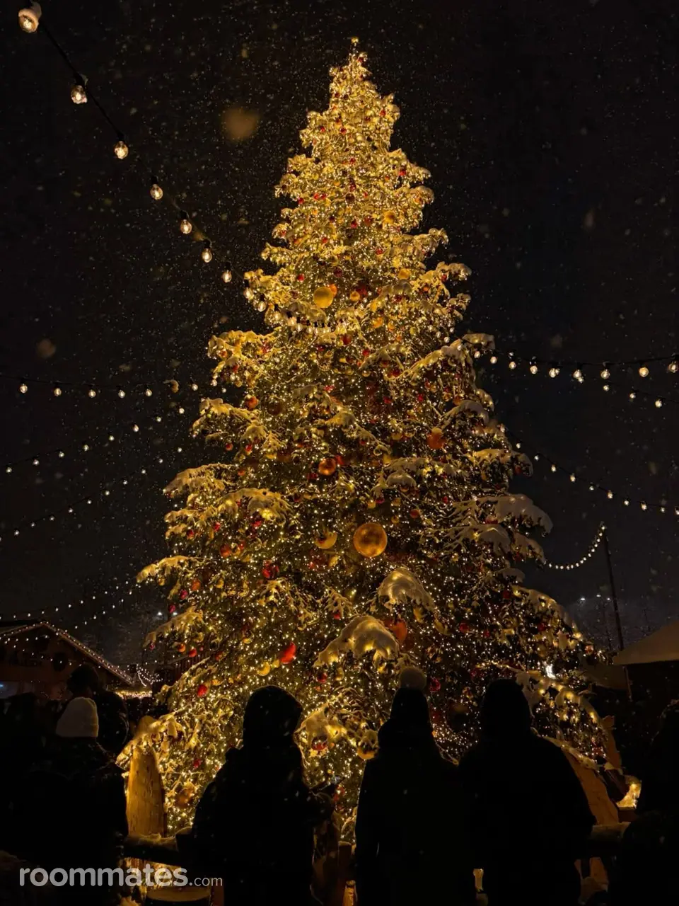 Profile photo 5 of 5