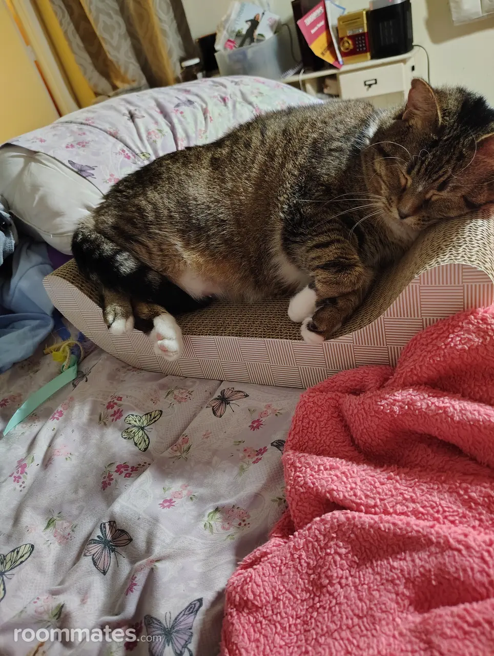 Profile photo 2 of 2