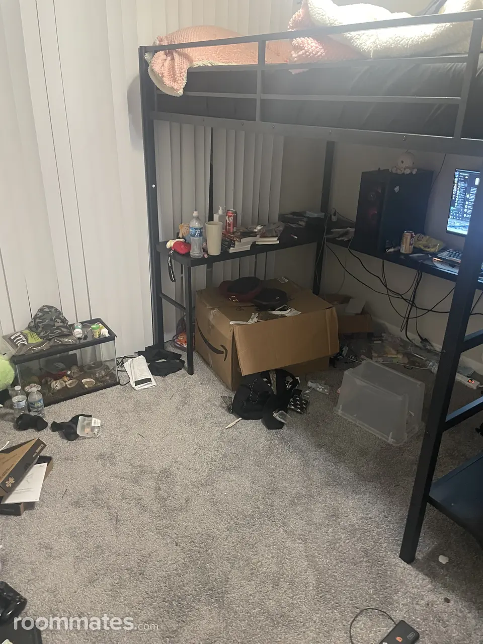 Profile photo 3 of 6