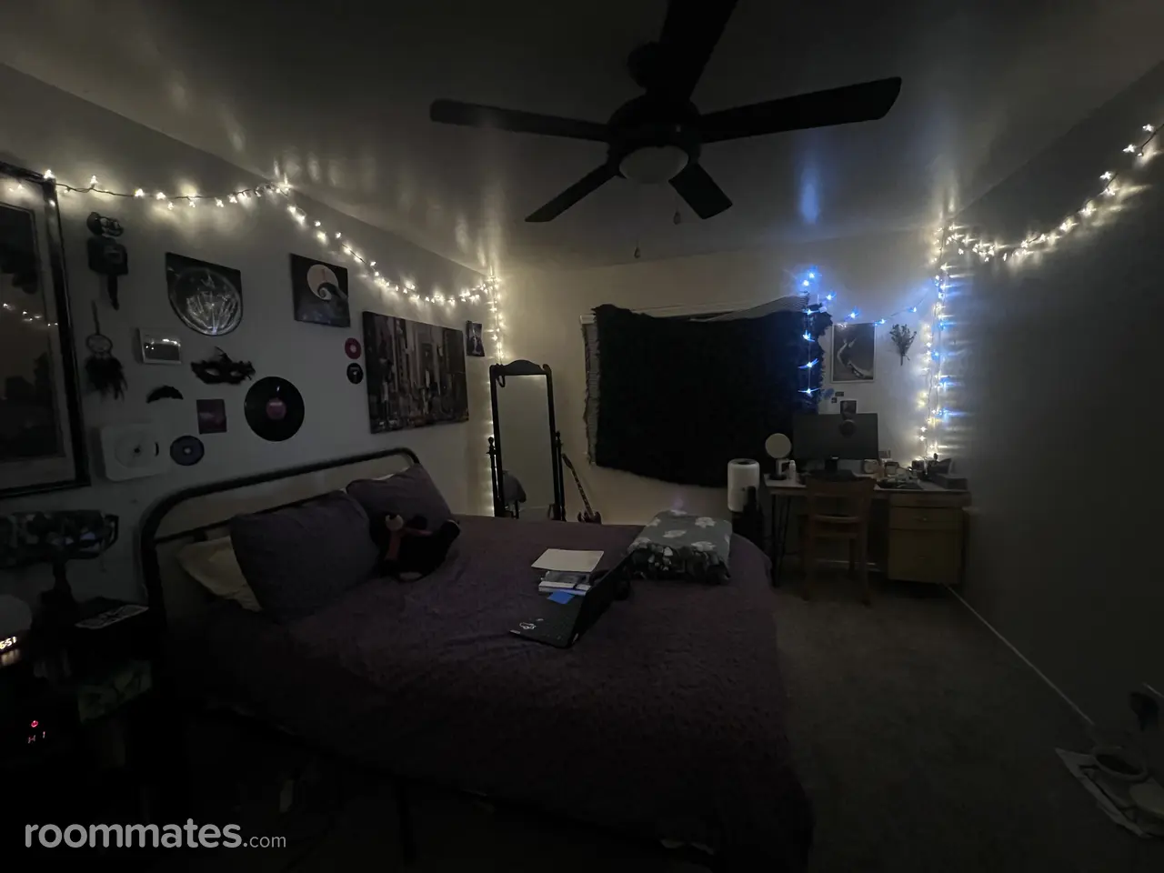 Profile photo 5 of 13