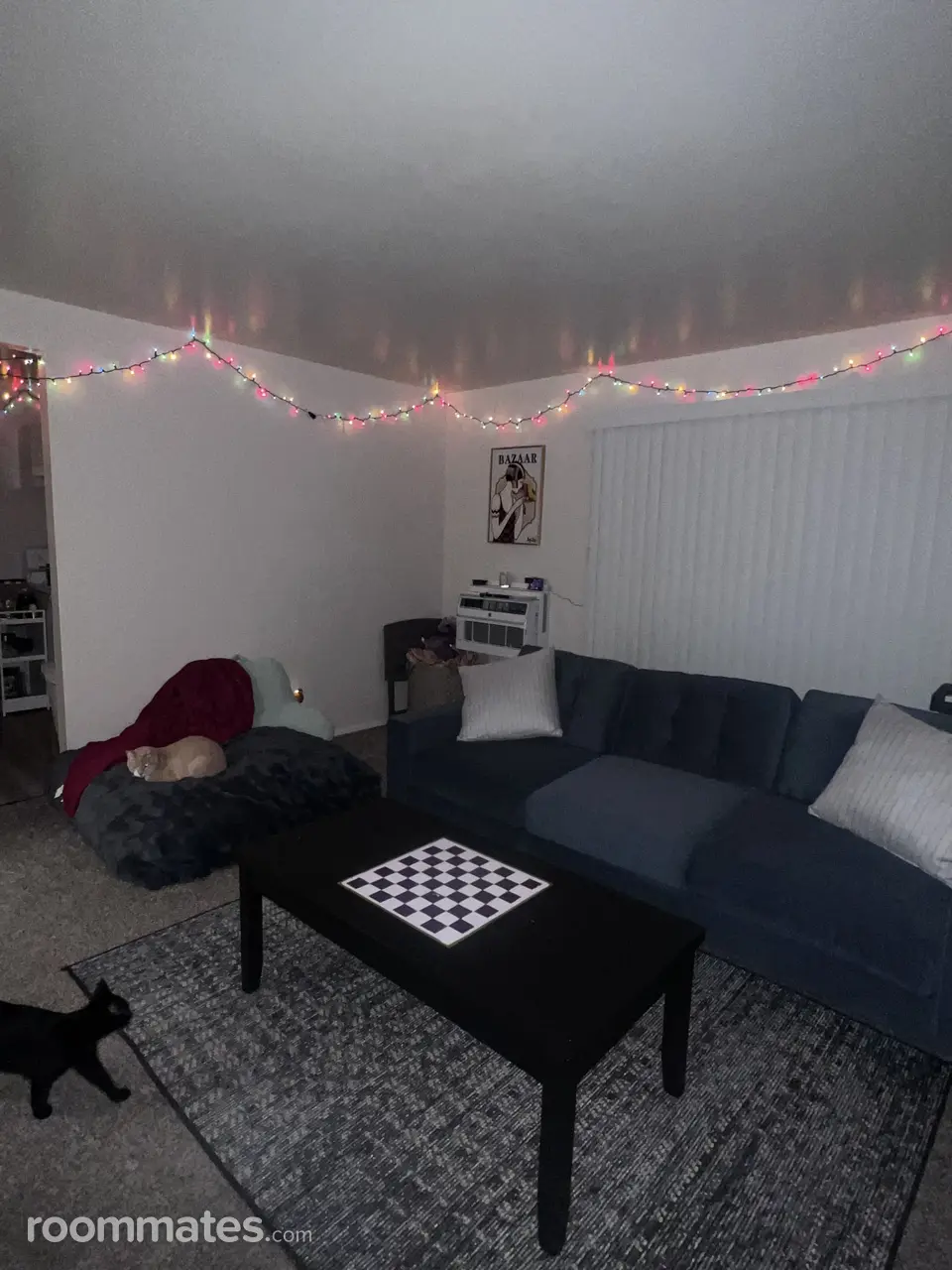 Profile photo 4 of 13