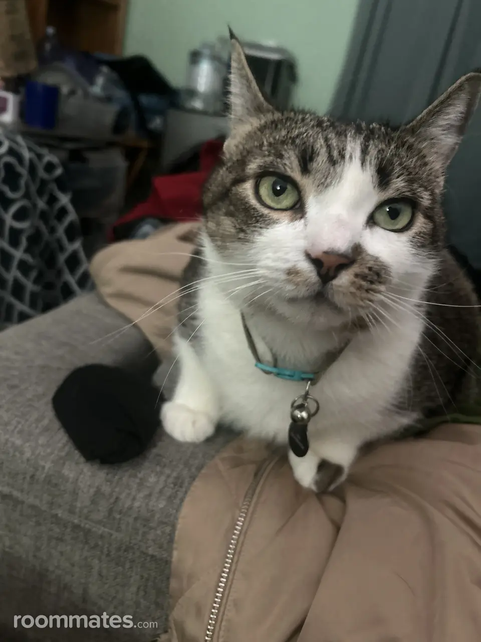 Profile photo 7 of 9