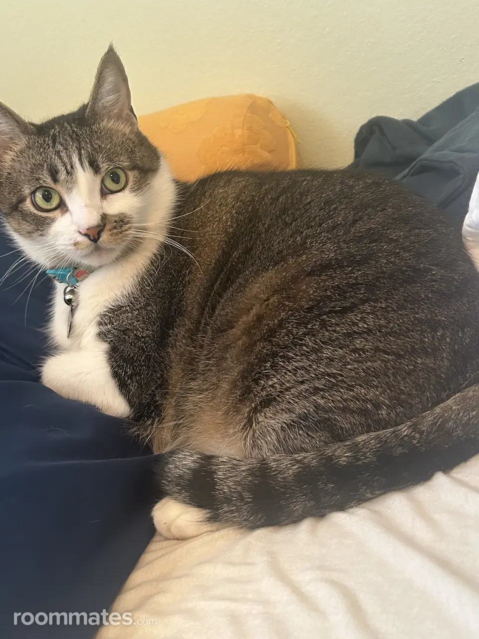 Profile photo 9 of 9