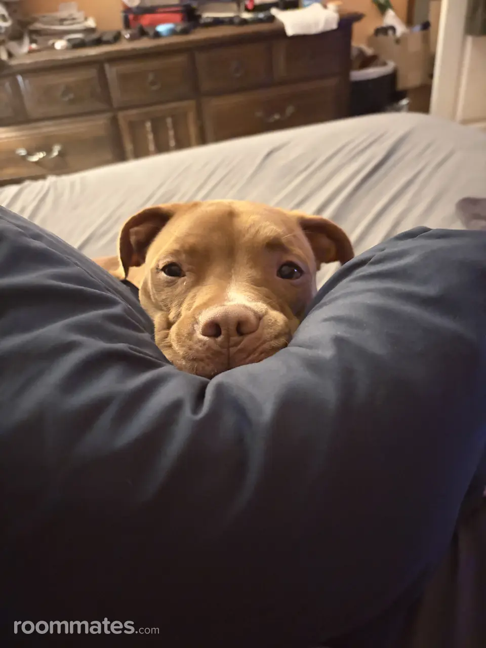 Profile photo 9 of 9