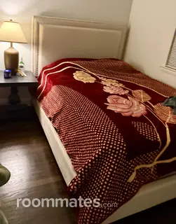 Room for rent in Parsippany, NJ $800, apartment