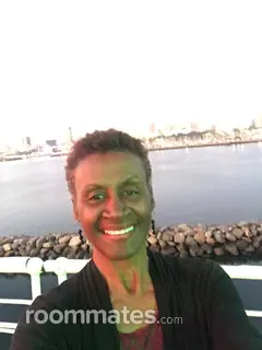 Roommate looking Duluth, GA, $700