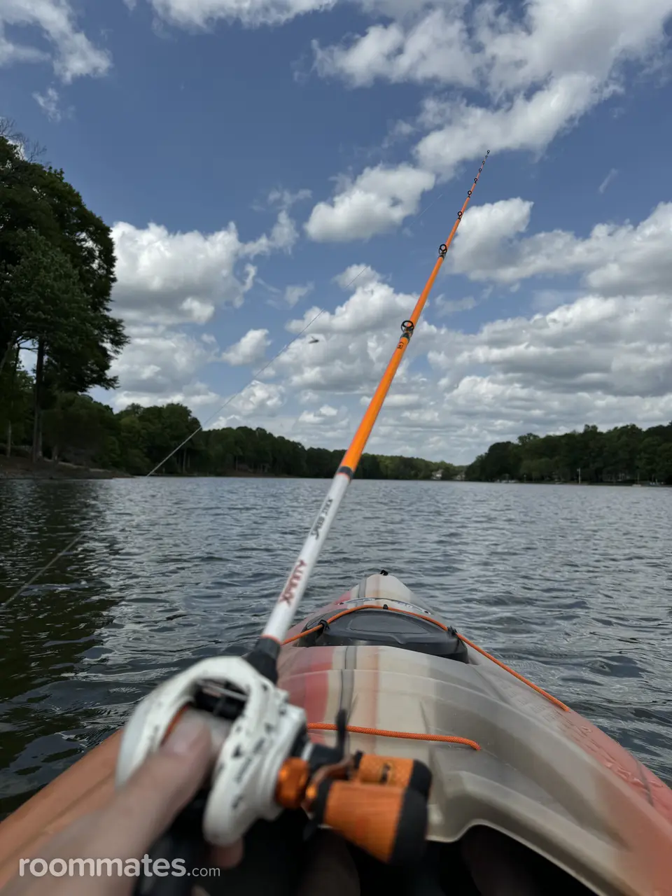 Profile photo 7 of 8