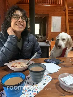 Roommate looking Pittsburgh, PA, $800