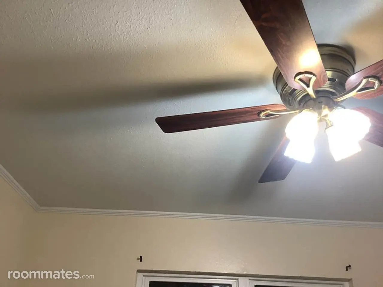 Profile photo 2 of 14