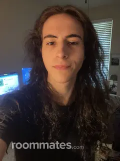 Roommate looking Branson, MO, $800