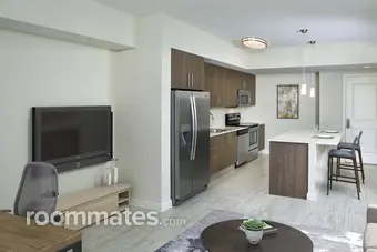 Room for rent in St. Petersburg, FL $2200, apartment