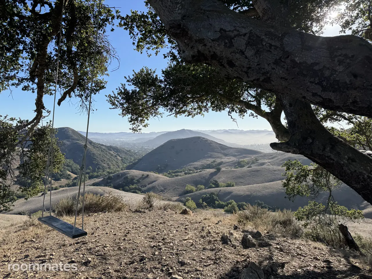 Profile photo 3 of 4